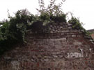 City Wall Survey