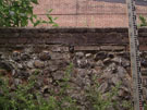 City Wall Survey