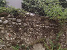 City Wall Survey