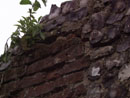 Bull Close Tower and Wall - Details