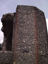 Bull Close Tower and Wall - Details