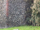 Bull Close Tower and Wall - Details