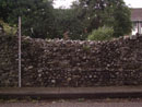 Bull Close Tower and Wall - Elevation