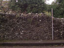 Bull Close Tower and Wall - Elevation