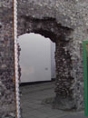 City Wall Survey