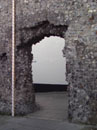City Wall Survey
