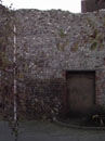 Magdalen Street Wall - elevations