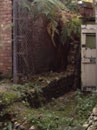 Magdalen Street Wall - General