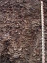 St Augustine's Wall - Details