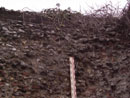 St Augustine's Wall - Details