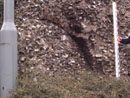 Barn Road Wall - Details