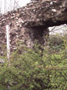 Barn Road Wall - Details