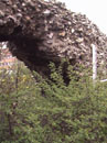 Barn Road Wall - Details