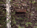Barn Road Wall - Details