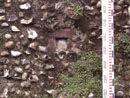 Barn Road Wall - Details