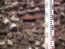 Barn Road Wall - Details