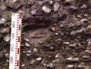 Barn Road Wall - Details