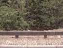 Barn Road Wall - Details