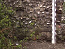Barn Road Wall - Details