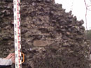 Barn Road Wall - Details
