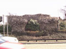 Barn Road Wall - Elevation