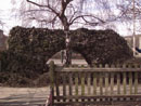 Barn Road Wall - Elevation