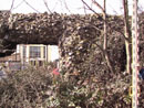 Barn Road Wall - Elevation