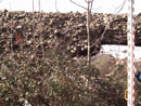 Barn Road Wall - Elevation