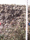Barn Road Wall - Elevation
