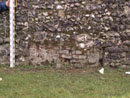 City Wall Survey