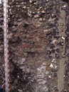 City Wall Survey