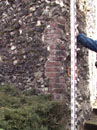 City Wall Survey