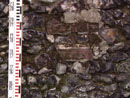 City Wall Survey