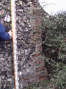 City Wall Survey