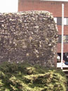 City Wall Survey