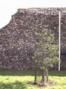 City Wall Survey