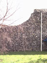 City Wall Survey