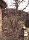 City Wall Survey