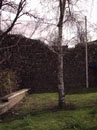 City Wall Survey
