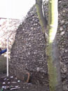 City Wall Survey