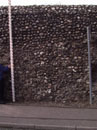 City Wall Survey