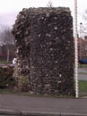 City Wall Survey
