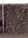 City Wall Survey