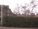 City Wall Survey