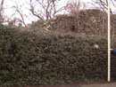 City Wall Survey