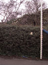 City Wall Survey