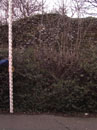 City Wall Survey