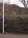 City Wall Survey