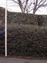 City Wall Survey