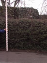 City Wall Survey